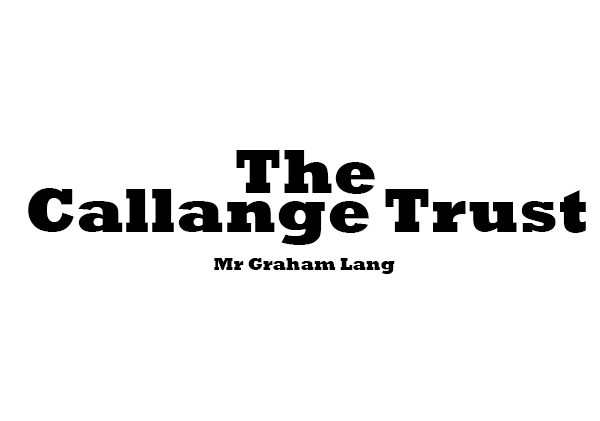 Sponsor logo #2